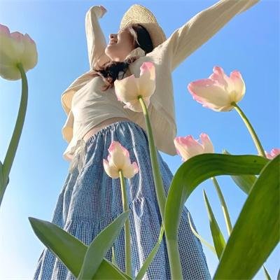 攻壳机动队第一季
